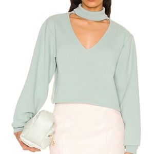 NWT CROP SWEATSHIRT